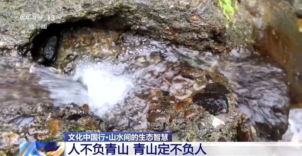 颜值与智慧并存 秦岭脚下的凤堰梯田你了解多少? 颜值与智慧并存 秦岭脚下的凤堰梯田你了解多少?