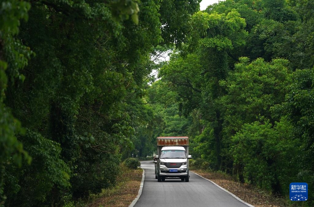 镜观·非遗丨孟戏人生 高腔传世