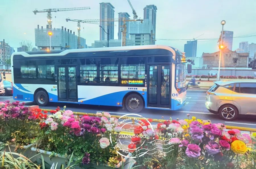 薄荷绿、粉色系……“宝宝巴士”现身上海街头!有人点赞,也有阿姨耿直吐槽→ 薄荷绿、粉色系……“宝宝巴士”现身上海街头!有人点赞,也有阿姨耿直吐槽→