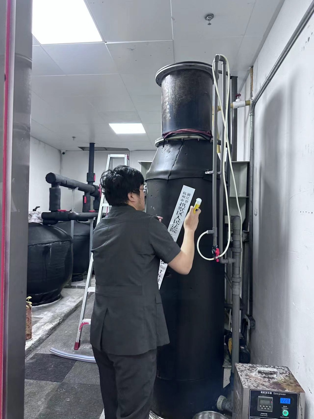 杭州网红餐厅老板突然跑路，留下6只企鹅！员工急了...