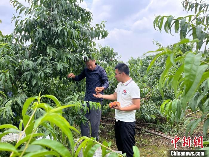 “硕士农民”刘沈厅:高考并非人生全部 勇敢追求热爱 “硕士农民”刘沈厅:高考并非人生全部 勇敢追求热爱