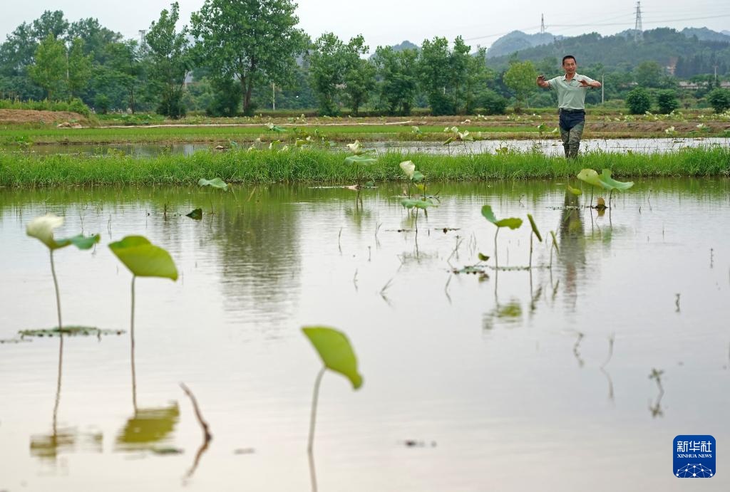 镜观·非遗丨孟戏人生 高腔传世