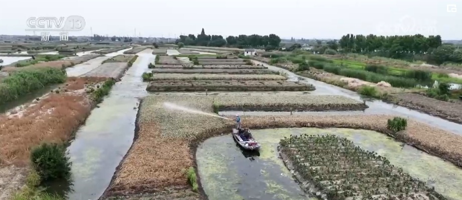 文化中国行 | &nbsp;从“土”秘诀看中华农耕文明创造性转化