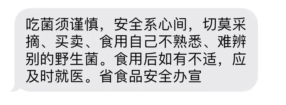 收到这条短信，云南人都坐不住了？