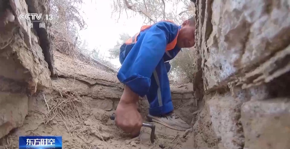 436公里绿色背后是“守井人”在坚守 436公里绿色背后是“守井人”在坚守