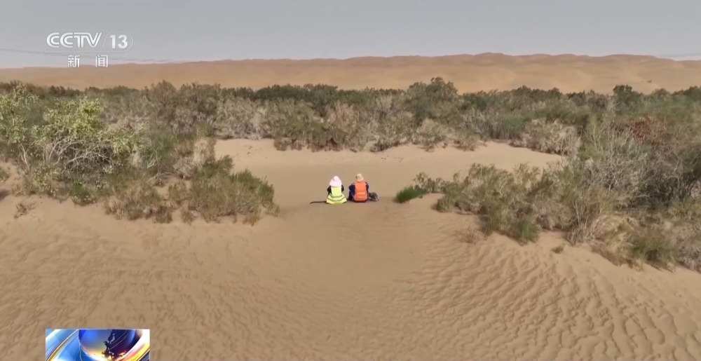 436公里绿色背后是“守井人”在坚守 436公里绿色背后是“守井人”在坚守