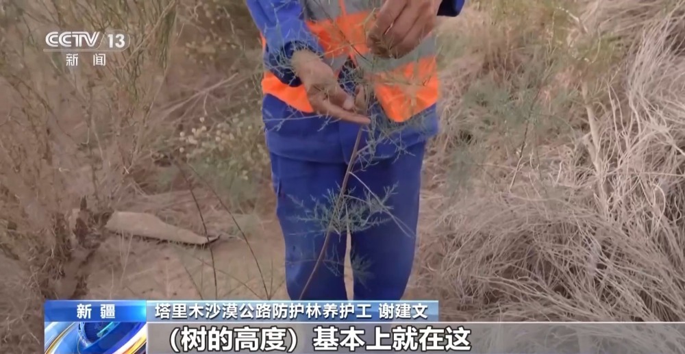 436公里绿色背后是“守井人”在坚守 436公里绿色背后是“守井人”在坚守