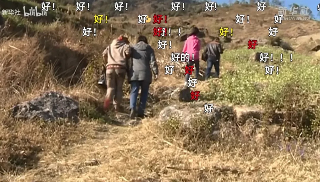 张桂梅的这段话刷屏！今年，她有个“请求”……