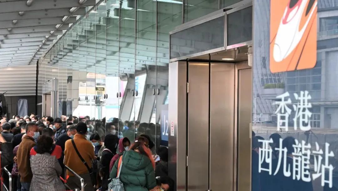 反响热烈！“躺”着去香港真香