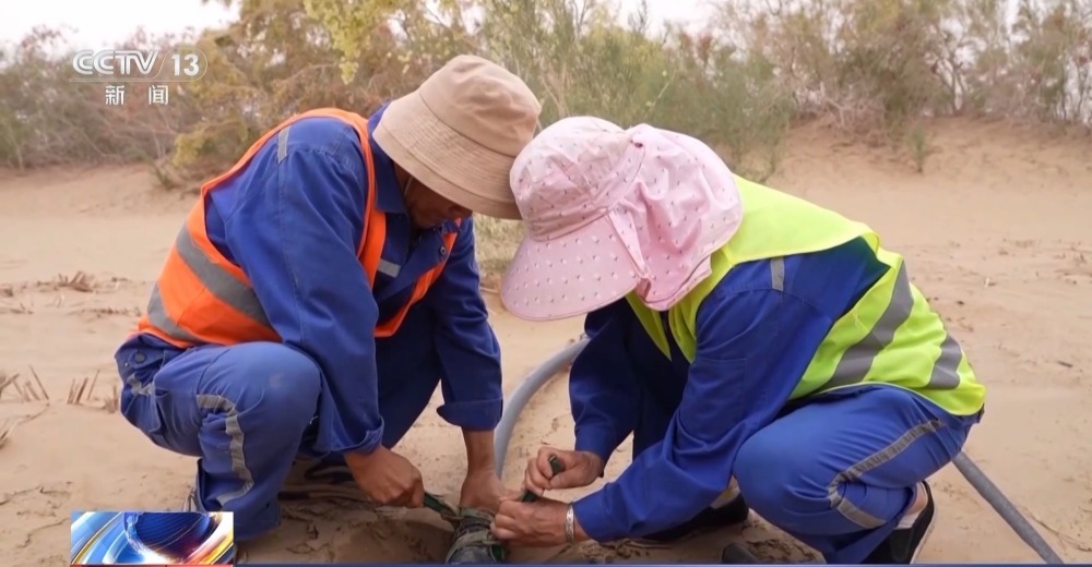 436公里绿色背后是“守井人”在坚守 436公里绿色背后是“守井人”在坚守