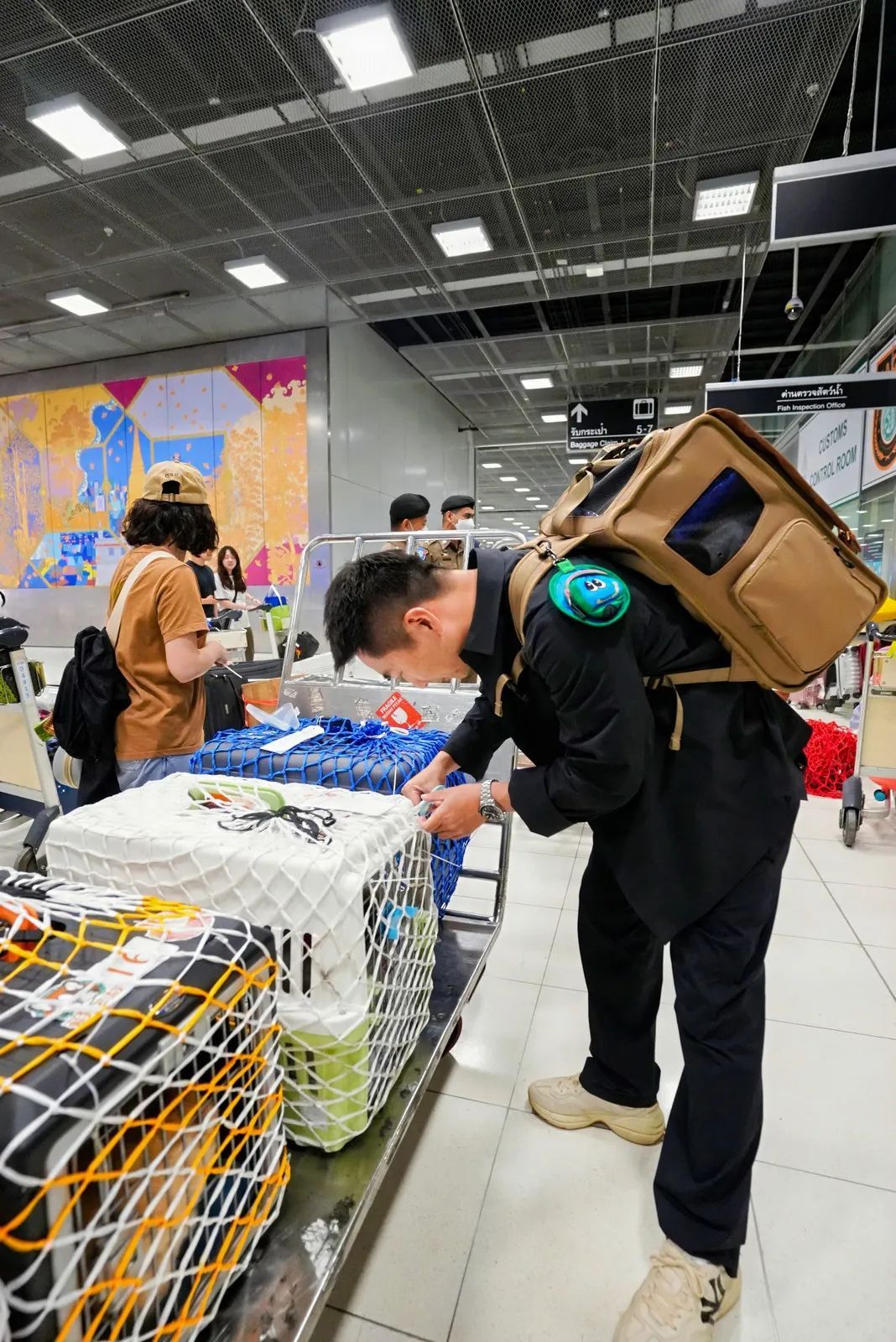 狗狗们“包机”出国玩啦！国内首个人宠同进客舱包机出境游从上海出发！
