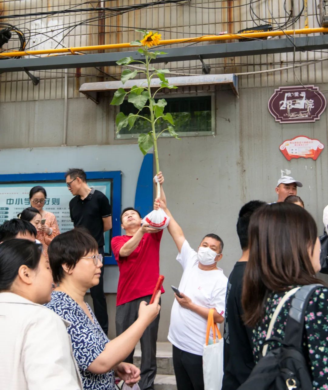 今天高考！郑州考场外刚刚拍下了→