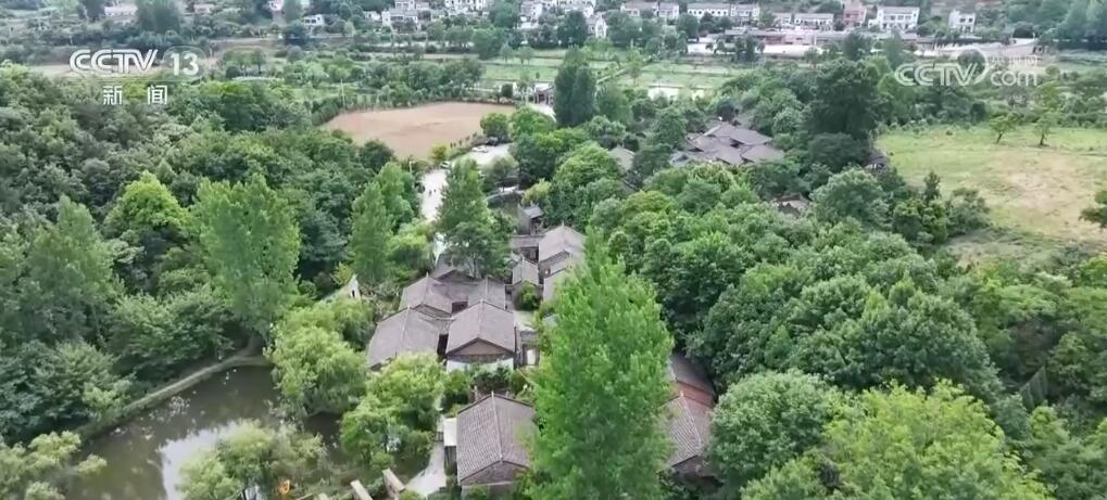 “艾”上粽“香” 多彩民俗迎端午 在传承中感受文化魅力