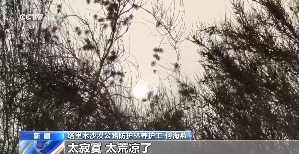 436公里绿色背后是“守井人”在坚守 436公里绿色背后是“守井人”在坚守