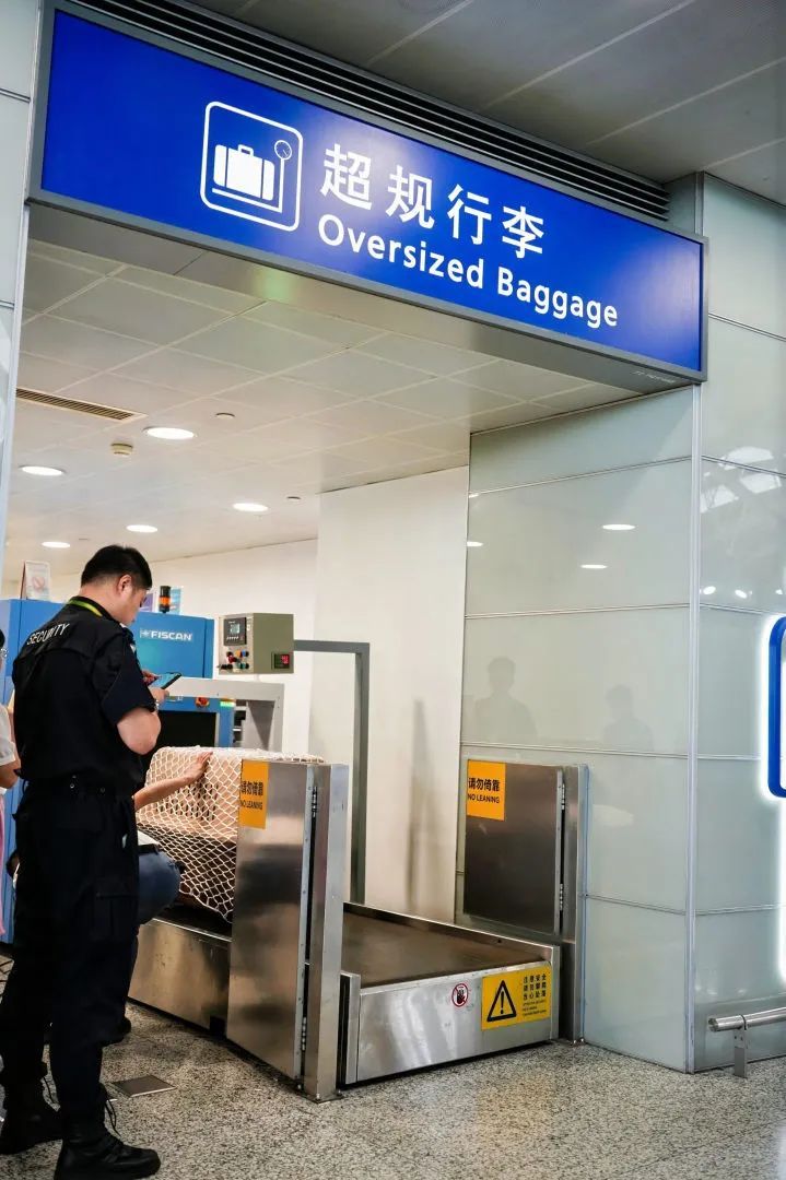 狗狗们“包机”出国玩啦！国内首个人宠同进客舱包机出境游从上海出发！