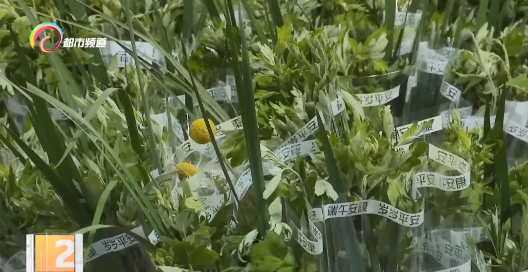 新式艾草花束爆火！你家挂上了吗？