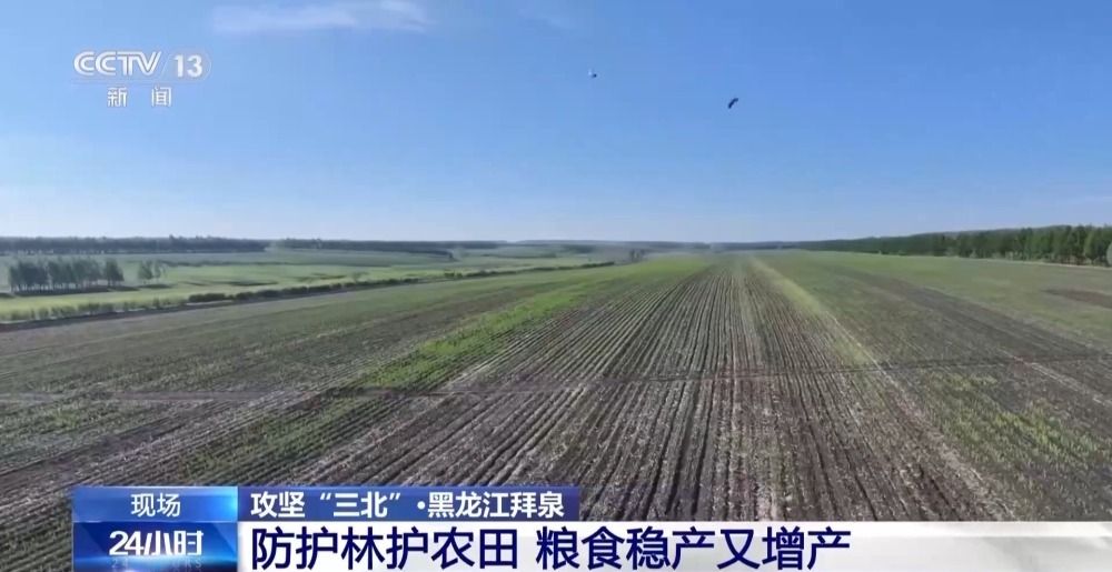 农田防护林为什么是一个个“格子” ？记者为你揭秘→