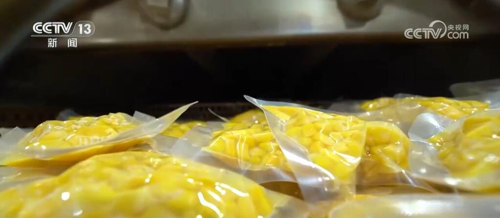 外贸新观察 | 一粒出口玉米背后的“科技密码” 外贸新观察 | 一粒出口玉米背后的“科技密码”