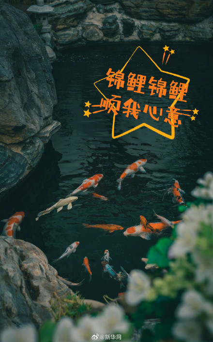 高考之后的第一条朋友圈，你想发什么？