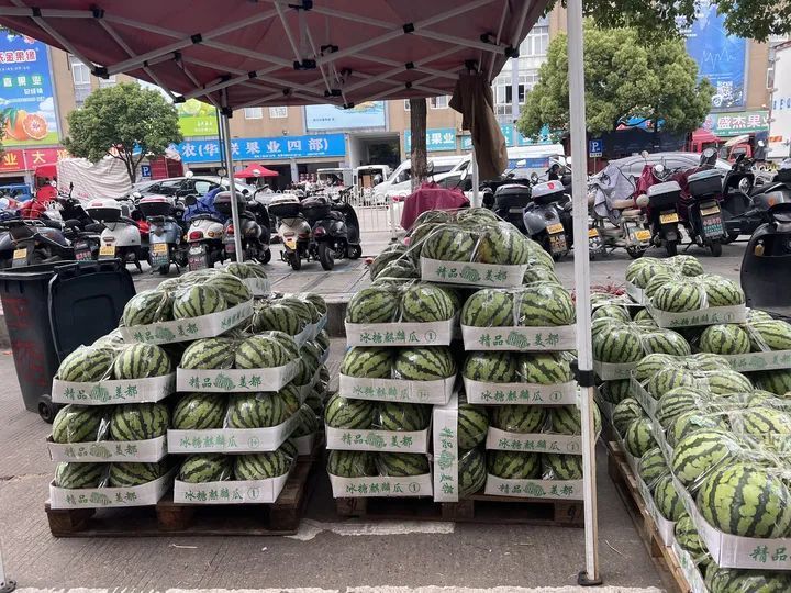 价格大跳水？批发价已逼近1元/斤，正大量上市