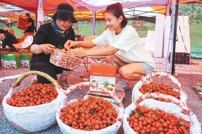 寒瓜、离支……夏令瓜果大比拼,吃瓜群众们中意谁 寒瓜、离支……夏令瓜果大比拼,吃瓜群众们中意谁