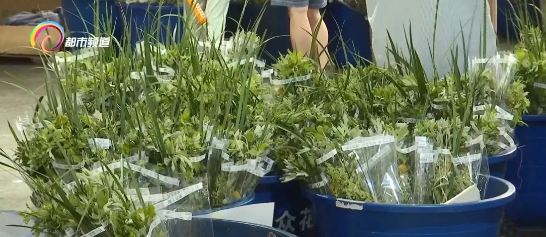 新式艾草花束爆火！你家挂上了吗？