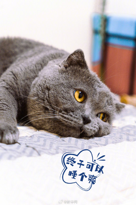 高考之后的第一条朋友圈，你想发什么？