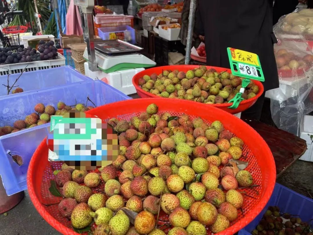 8元/斤！突然大跌！台州老板：预计还要跌