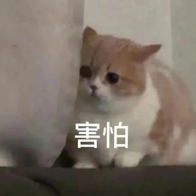 可怕！看完这个你还敢不拔充电器吗？