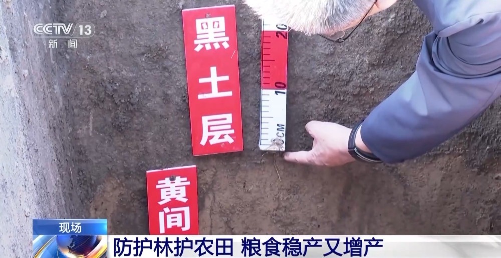 农田防护林为什么是一个个“格子” ？记者为你揭秘→