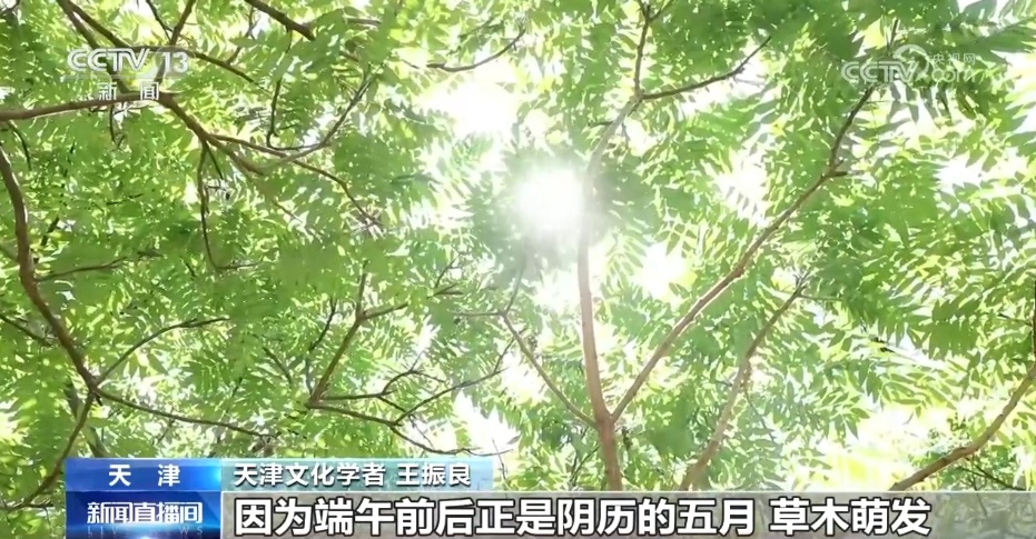 古代名画带你解锁端午“斗草” 小乐趣里有大智慧