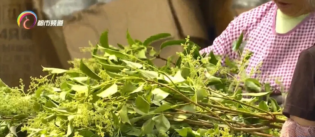 新式艾草花束爆火！你家挂上了吗？