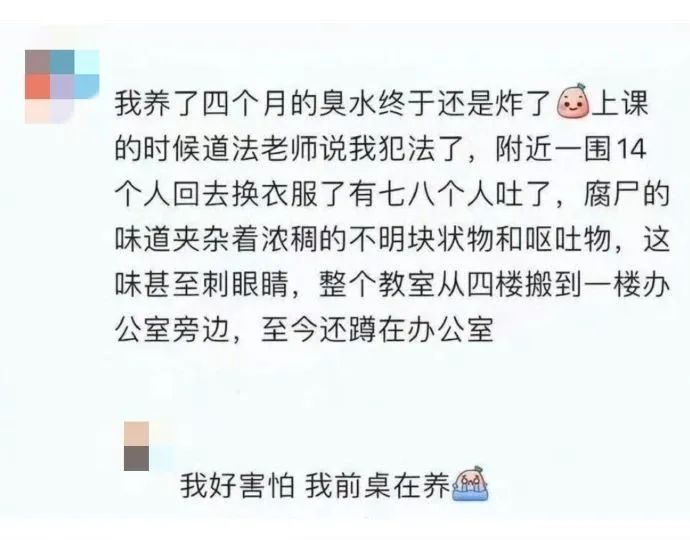 “养臭水”在校园流行,医生提醒→ “养臭水”在校园流行,医生提醒→