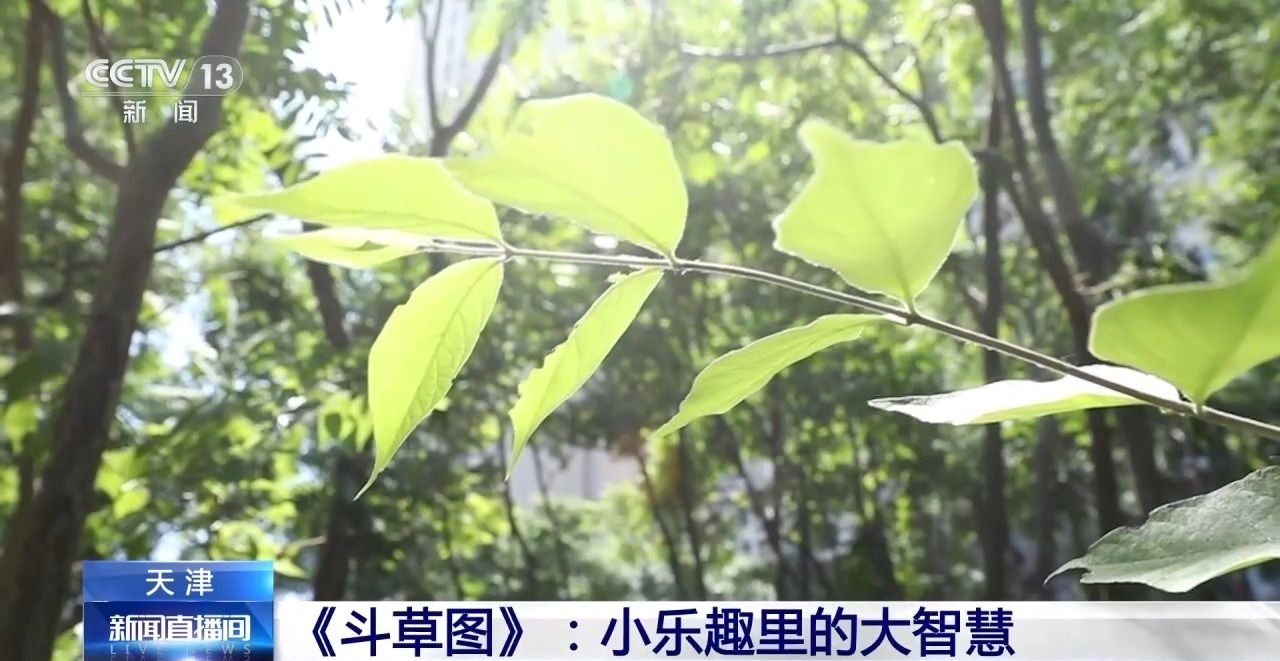 古代名画带你解锁端午“斗草” 小乐趣里有大智慧