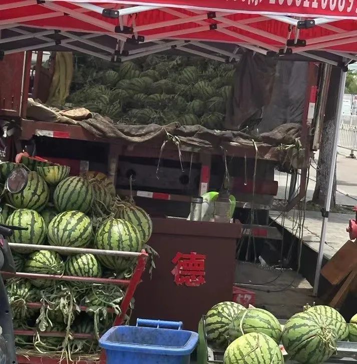 价格大跳水？批发价已逼近1元/斤，正大量上市