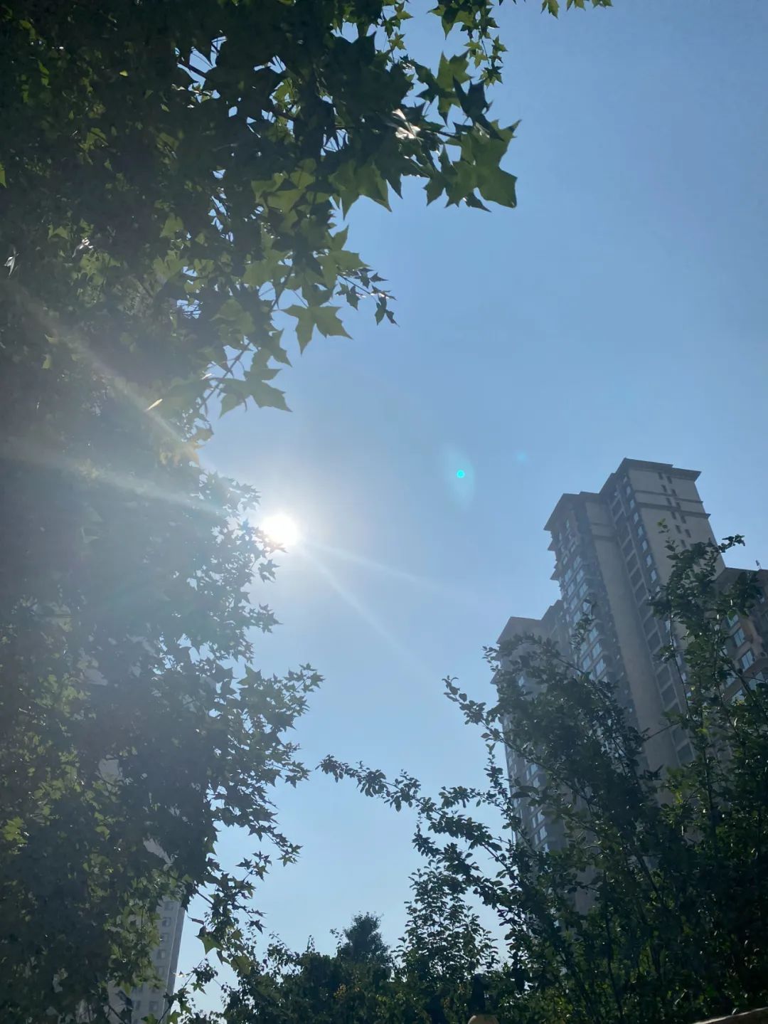 最高40℃+！河北大范围高温天气来袭！最新预警→