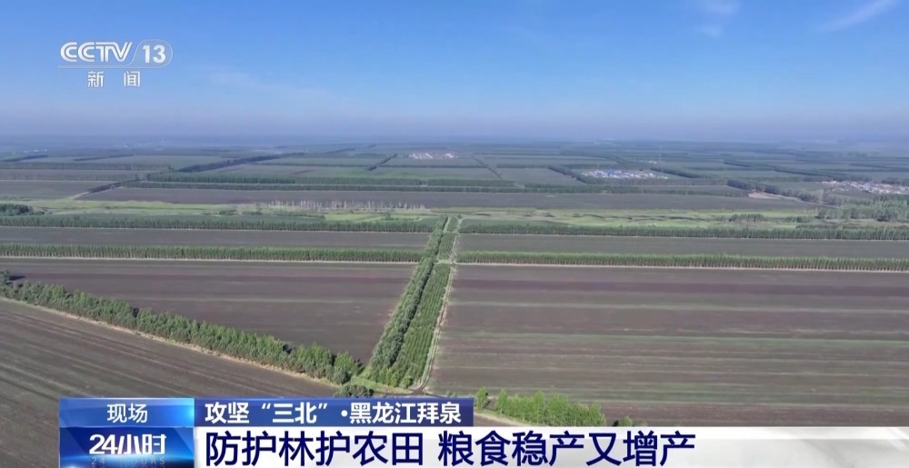 农田防护林为什么是一个个“格子” ？记者为你揭秘→