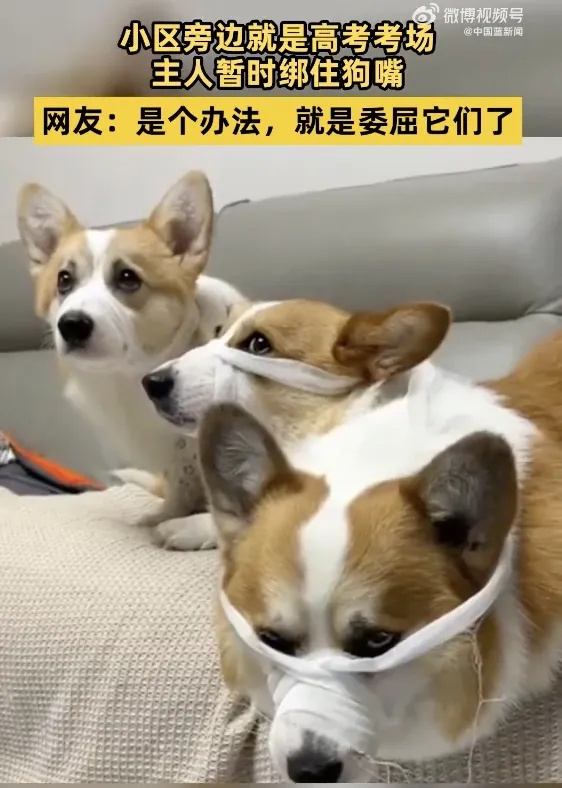 嚯！这考场外，可太精彩了