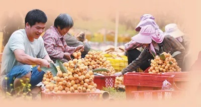 寒瓜、离支……夏令瓜果大比拼,吃瓜群众们中意谁 寒瓜、离支……夏令瓜果大比拼,吃瓜群众们中意谁