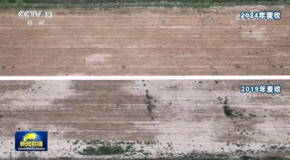 【在希望的田野上&middot;三夏时节】全国麦收过七成 丰收有底气