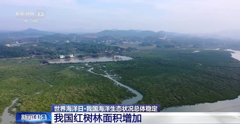 已划定海洋生态保护红线15万平方千米 我国海洋生态状况总体稳定 已划定海洋生态保护红线15万平方千米 我国海洋生态状况总体稳定