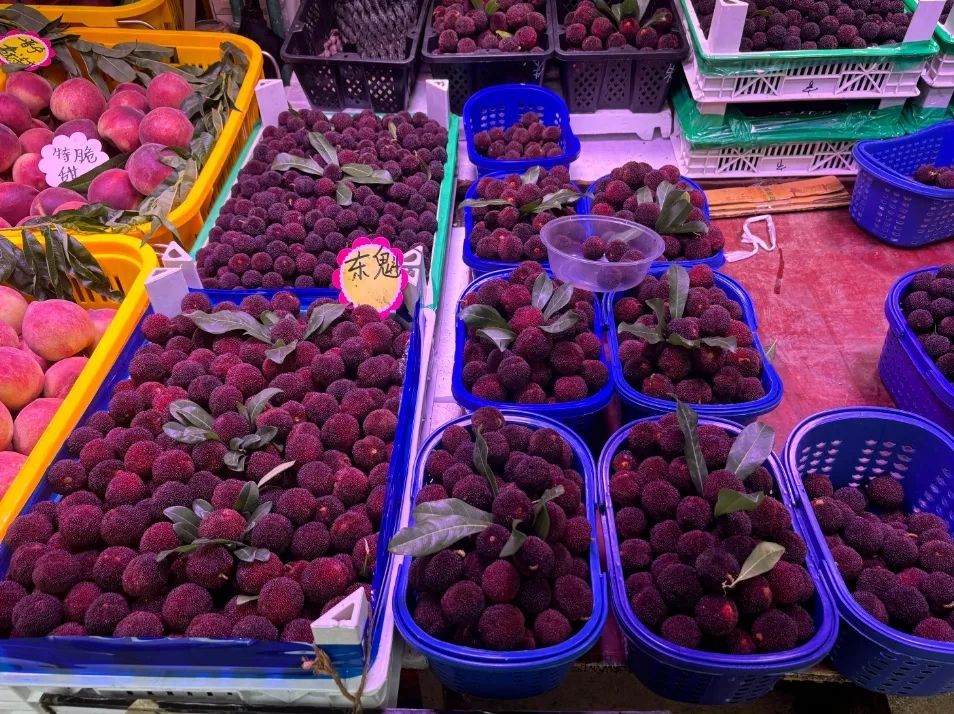 价格上涨！这种水果将在昆明下市→