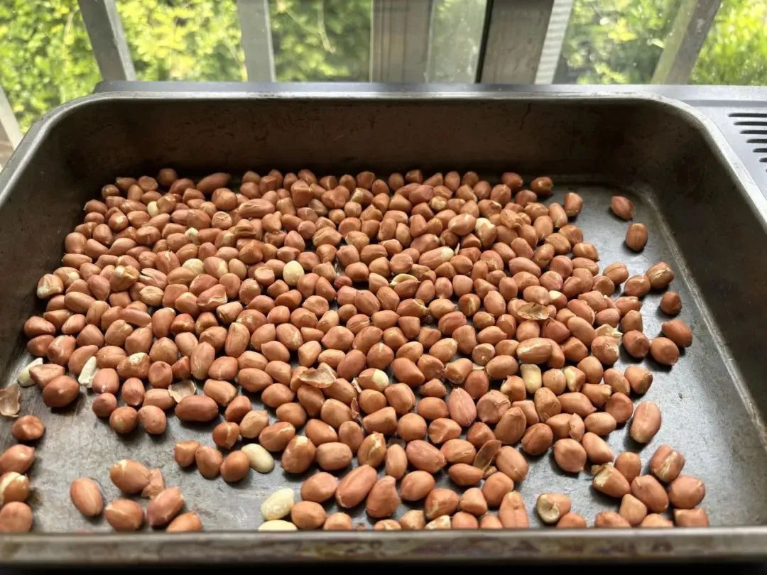 【滋味】软糯香甜“状元糍”，正是金榜题名时！