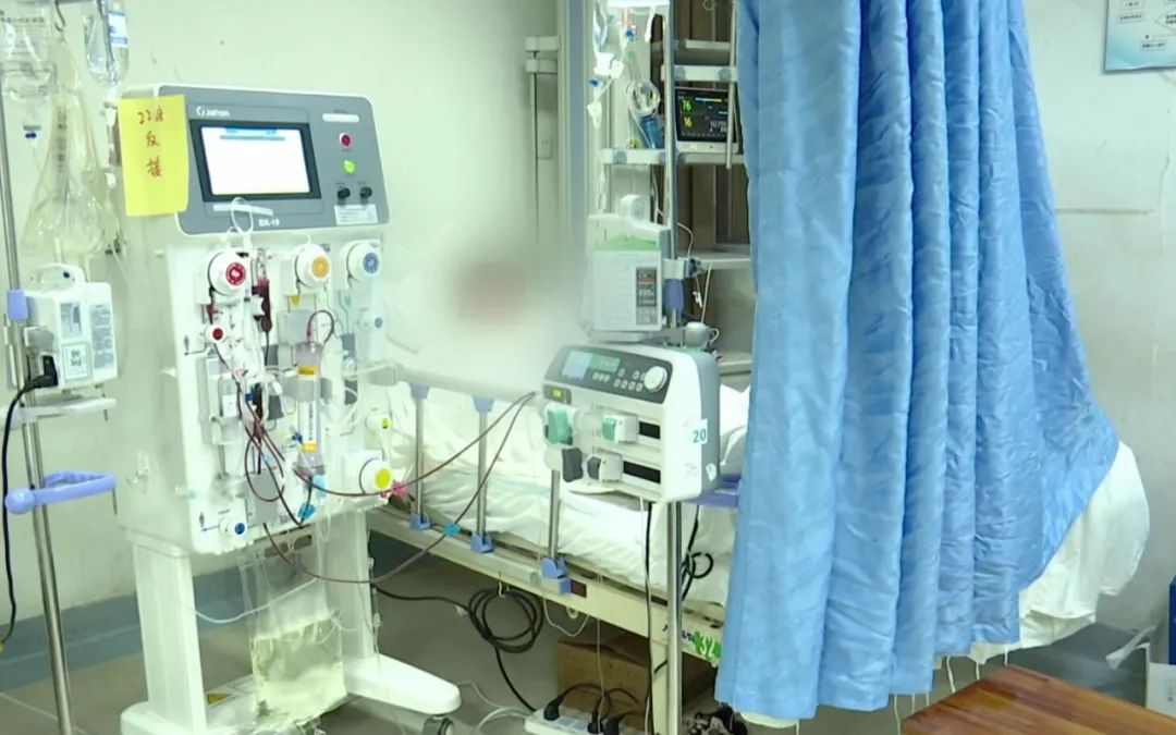 街边买的野生菌，朋友几人吃完出现腹泻、呕吐……警惕！又是这种毒菌