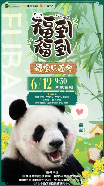 福宝见面会时间安排 想看福宝这些时间来