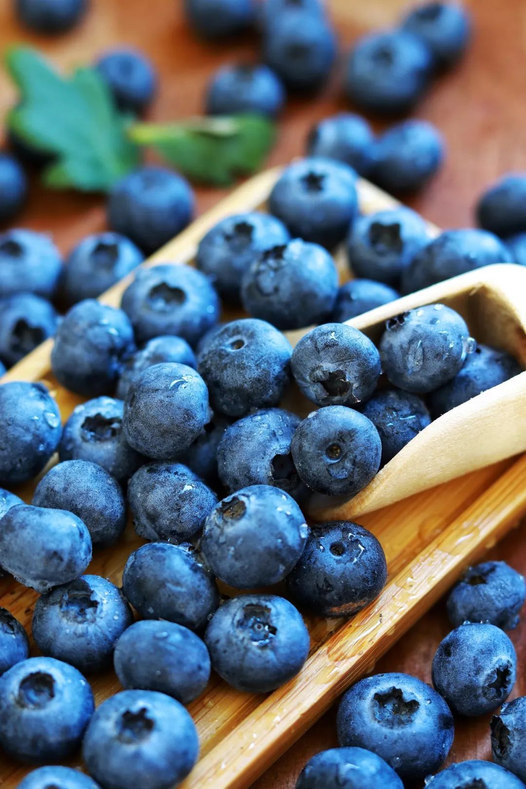 价格大跳水！从每斤百元跌至10元，正大量上市