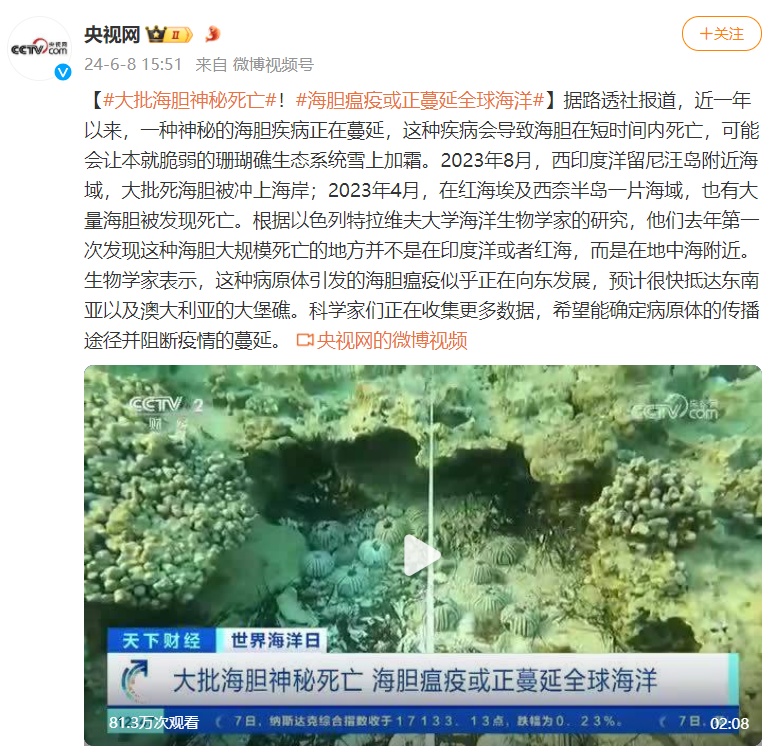 大批海胆不明原因死亡！神秘的瘟疫或正蔓延全球海洋