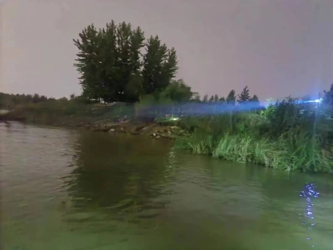 武汉江边发现鳄鱼,最新消息 武汉江边发现鳄鱼,最新消息