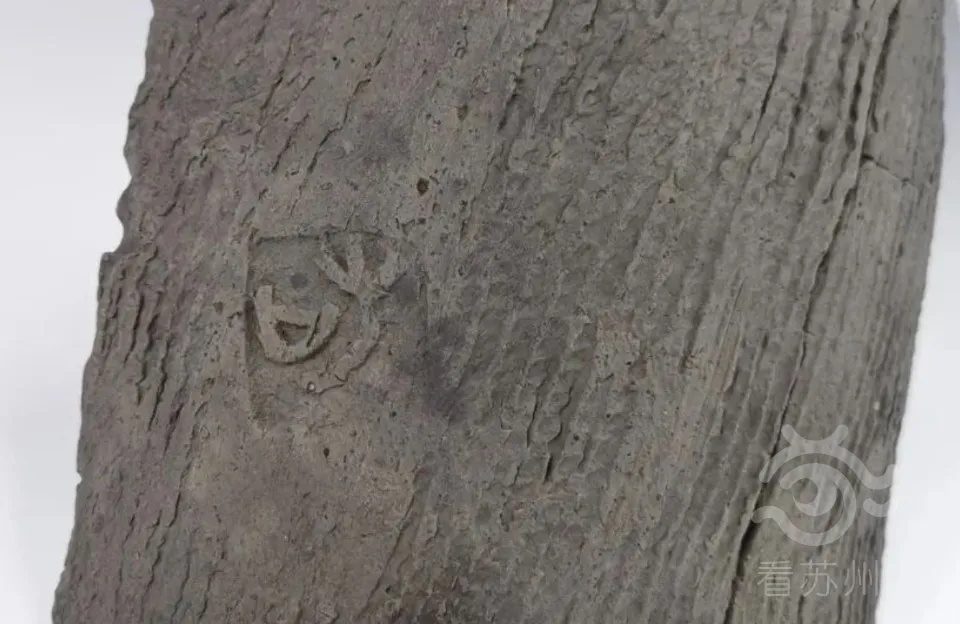 苏州重大考古发现! 苏州重大考古发现!