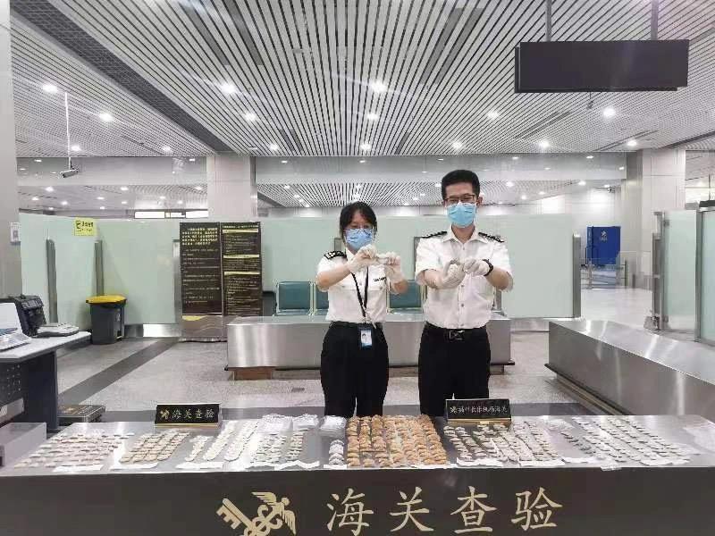 海关进境一旅客随身行李携带439件疑似鲸鱼骨制品